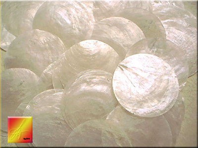 100 Capiz Shells 2 Round Two Holes Seashells Craft Free US Shipping