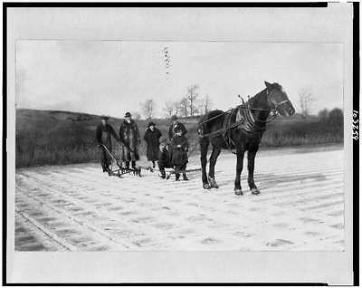   ice cutting,horse drawn,equipment,crowd,Old Lyme,Connecticut,CT,1900
