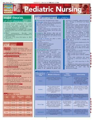 Pediatric Nursing 2005, Print, Other