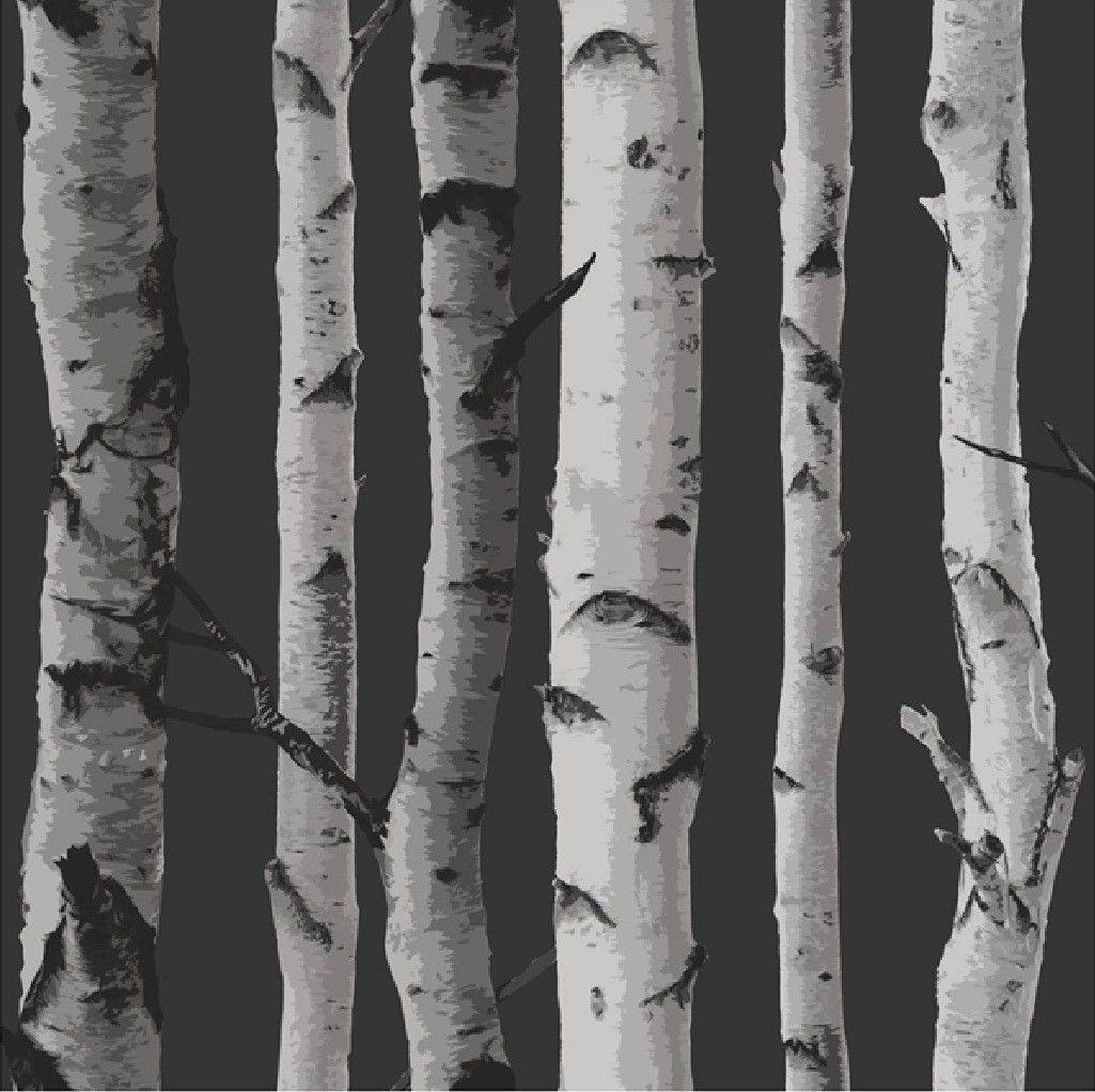 New Birch Tree Woods Branches Jungle Forest Print 10M Wallpaper Roll 