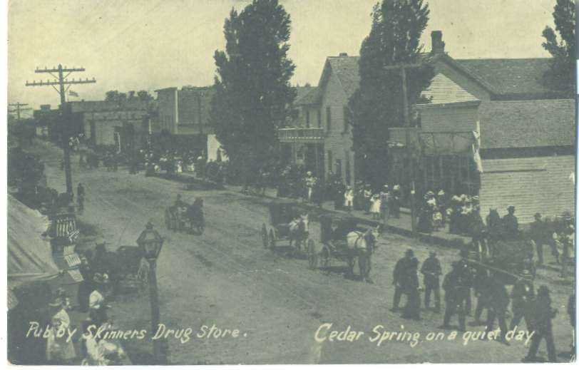 Michigan Cedar Springs View C 1910 Advertising Postcard