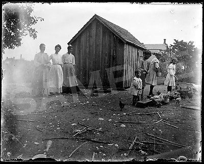  , women, children, chickens, farm yard, shed, 4 x 5 w/print, CD