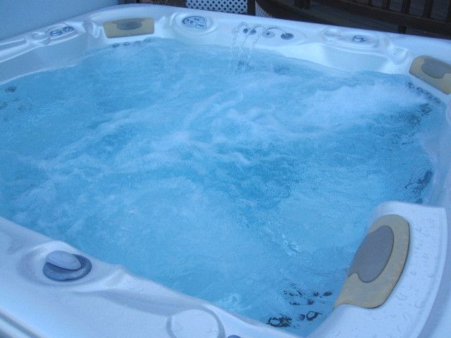 Hot Springs Hot Tub Spa Vista Model